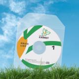 Biodegradable CD/DVD-hoes, met klep, niet-zelfklevend, 125 x 128 mm