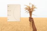 Smartfolder geperforeerde opbergmappen - Tree-Free - pak van 6 - A4 - naturel