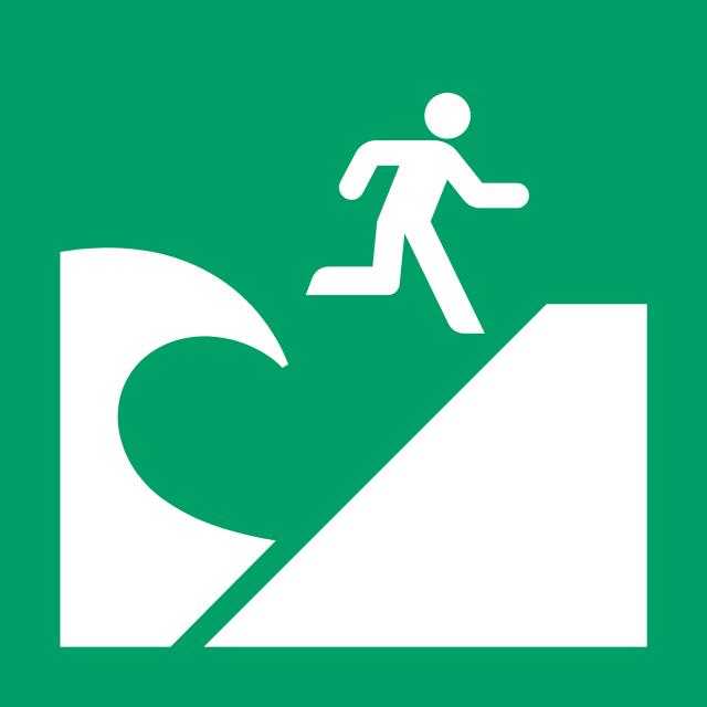 Pictogram bordje Tsunami evacuatiegebied, 300 x 300 mm