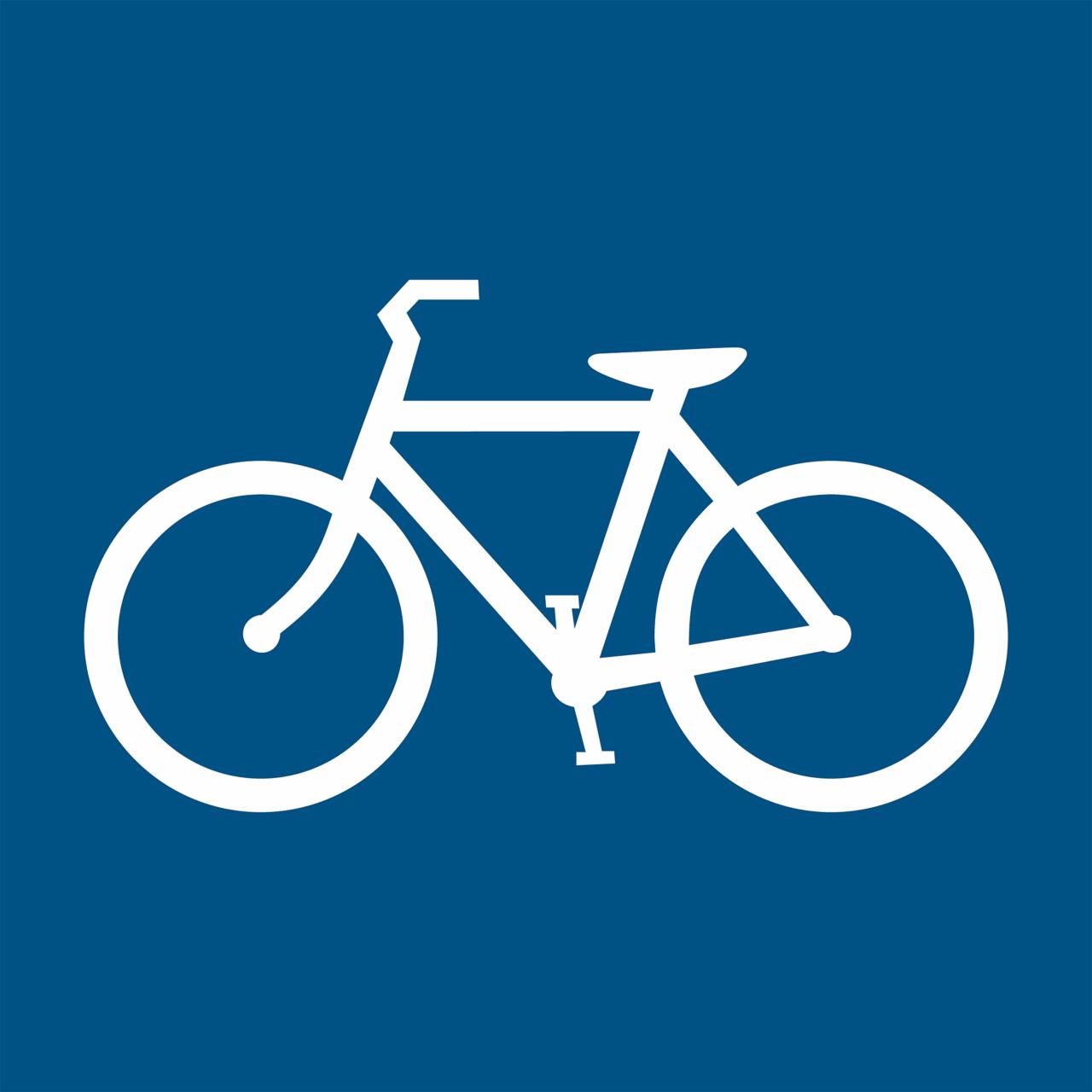 Pictogram Fiets, 100 x 100 mm