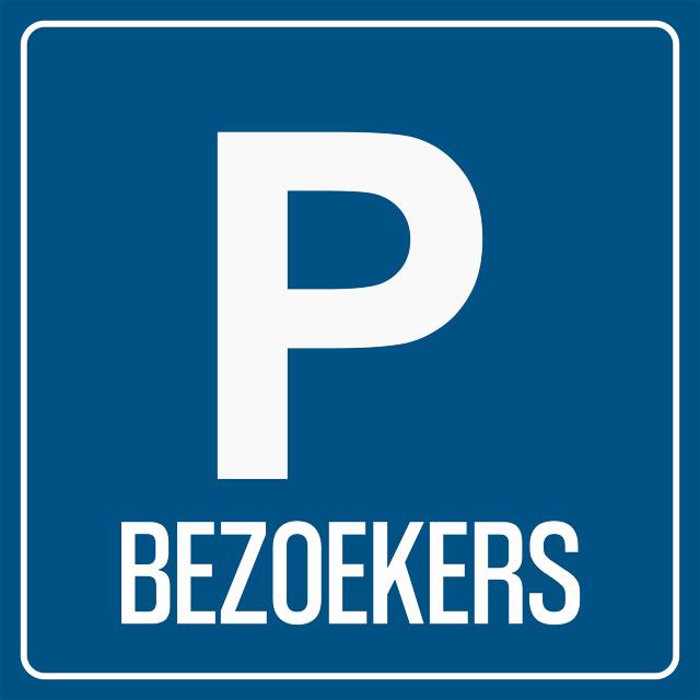 Pictogram Parkeren voor bezoekers , 100 x 100 mm