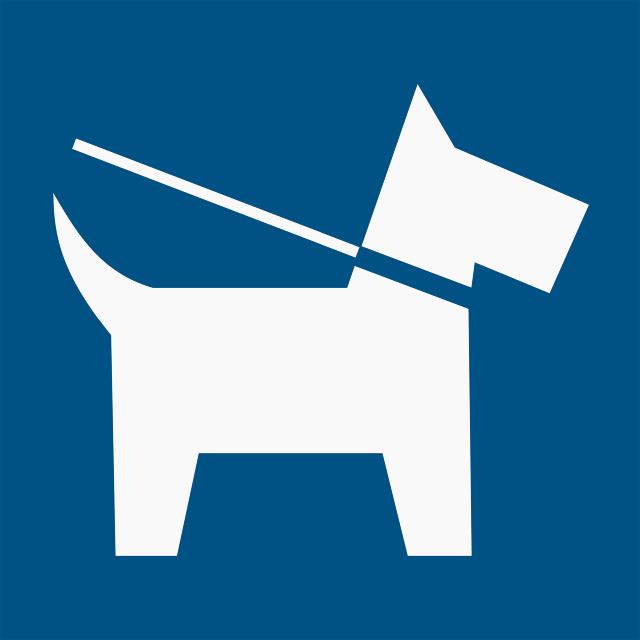 Pictogram Hond aan de lijn, 100 x 100 mm